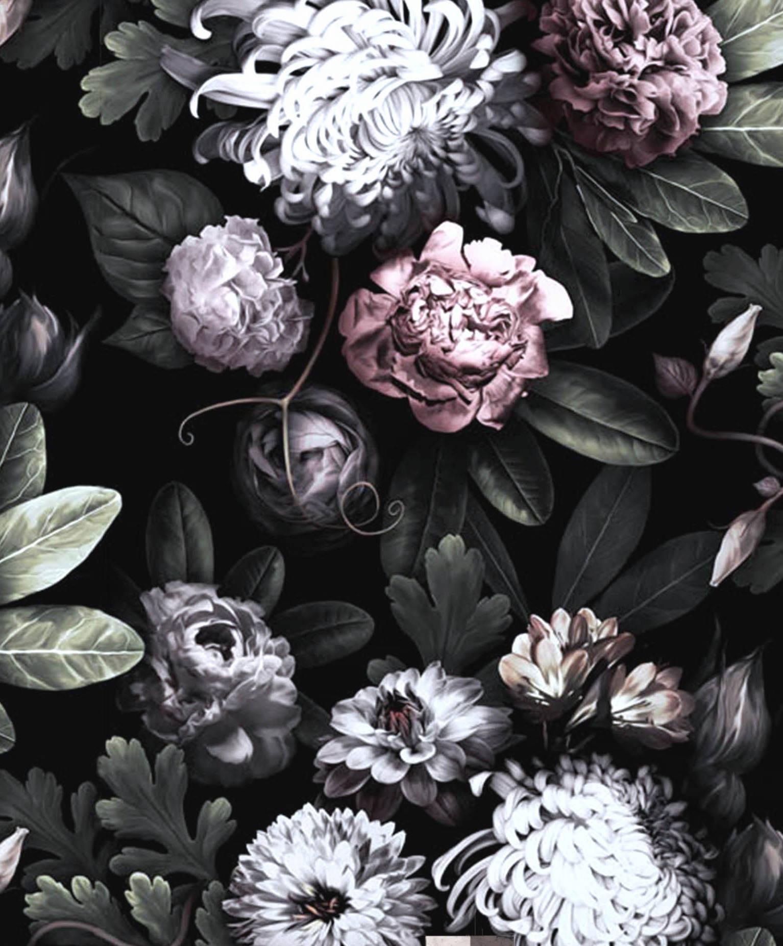 You are currently viewing Real Black Flowers Floral flower wallpapers dark flowers peony rose background flores tropical wallpapercave visit prints
