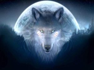 Read more about the article arctic photo wallpaper blue free fire Wolf backgrounds background