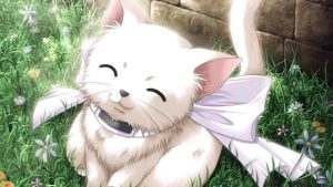 Read more about the article Magic Cat Background Anime animals wallpapers