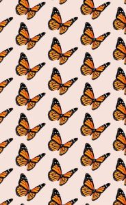 Read more about the article aesthetic wallpapers butterfly Butterfly vsco wallpapers laptop drawing iphone mariposa casetify pattern aesthetic animals cute backgrounds papel pintado mariposas background orange visit fondos