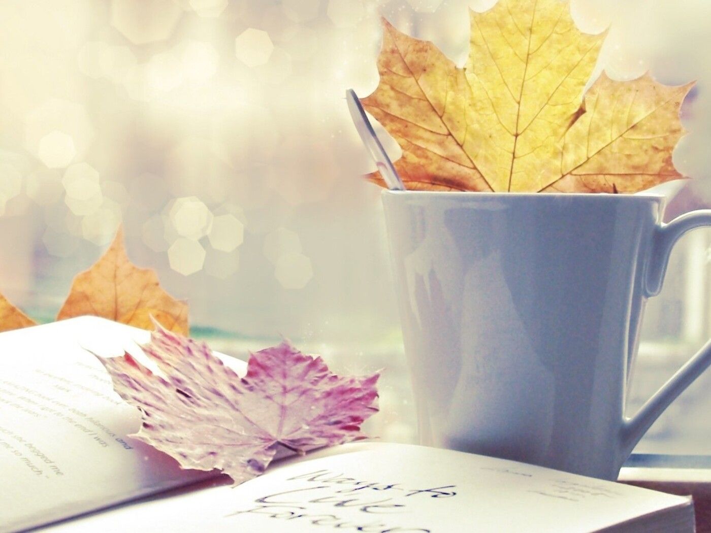 You are currently viewing Autumn Rain Coffee Autumn coffee rain wallpapers