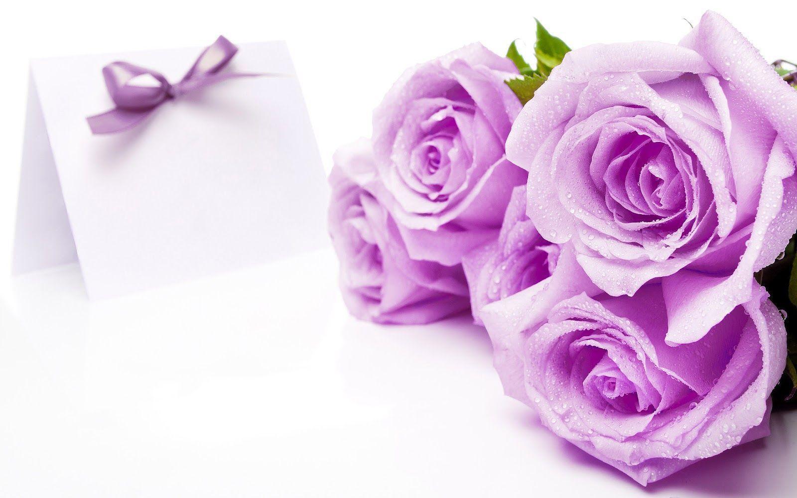 You are currently viewing Purple Lavender Flowers Purple roses backgrounds