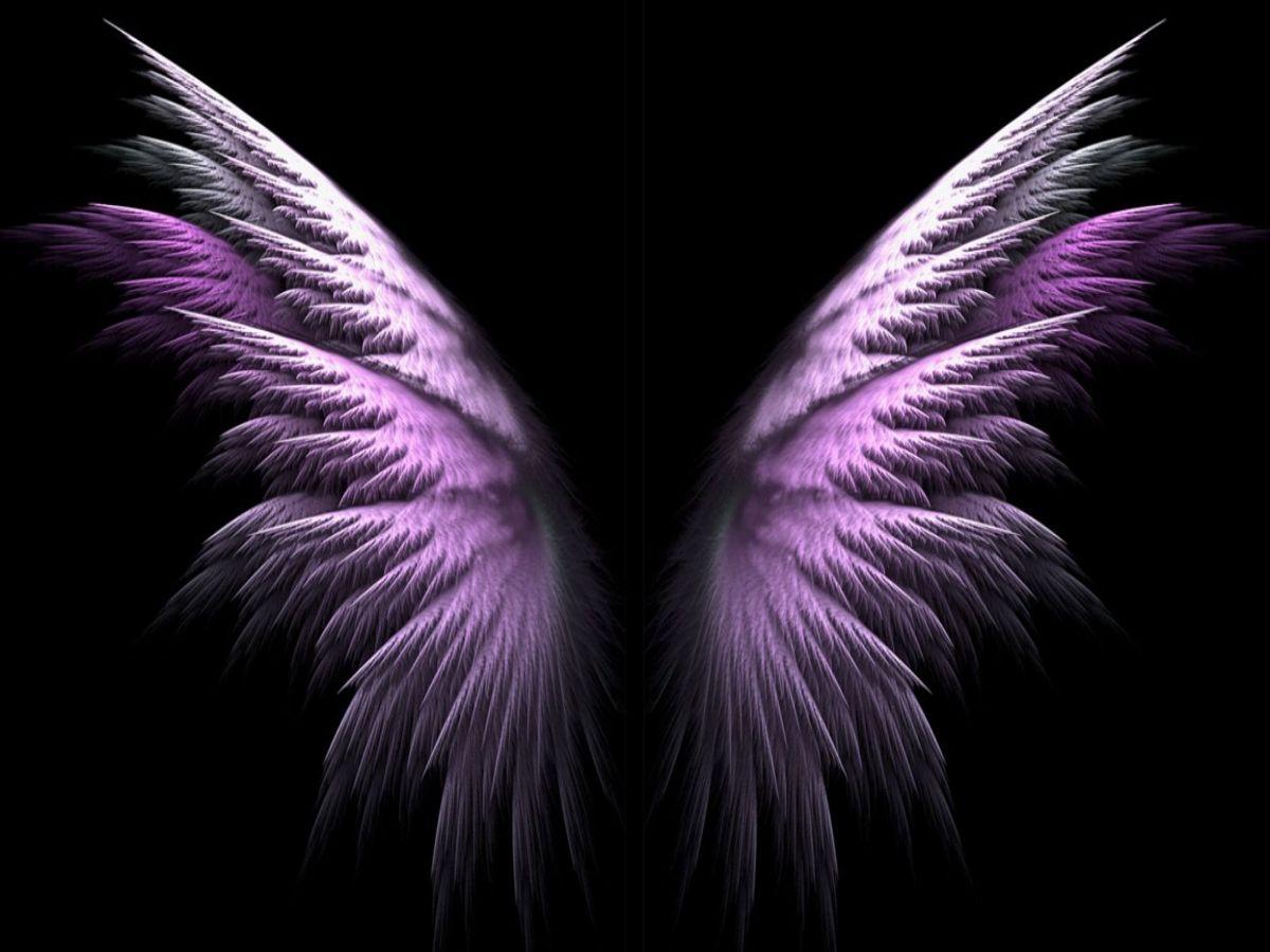 You are currently viewing Aesthetic Anime Clip Art GIF Pink wings wallpapers