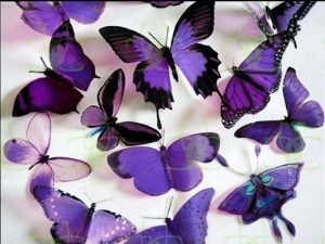 Read more about the article blue flowers spring flowers names and pictures Purple butterfly backgrounds