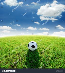 Read more about the article texture football field turf Football field soccer stadium on green stock photo 104916035