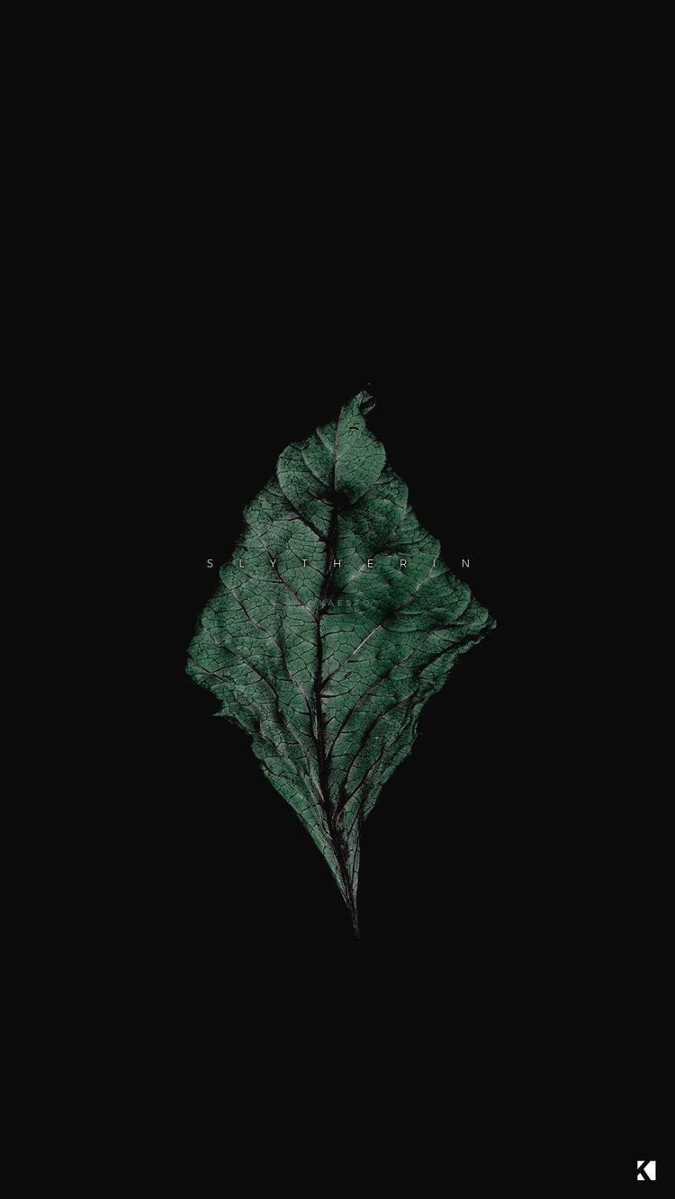 You are currently viewing dark green aesthetic wallpaper slytherin Green aesthetics wallpapers