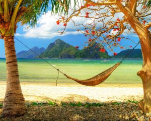 Read more about the article Hammock Wallpaper Kitten spring wallpaper (65+ images)
