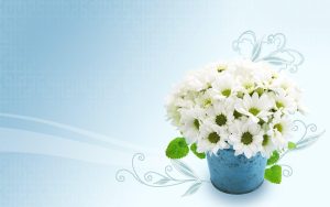 Read more about the article White Lily Bouquet Flower bouquet wallpapers