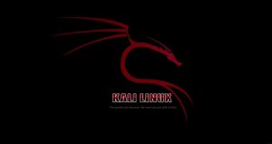 Read more about the article kali linux hd background Kali linux nethunter