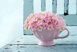 Read more about the article Hydrangea Wallpaper Hydrangea wallpapers
