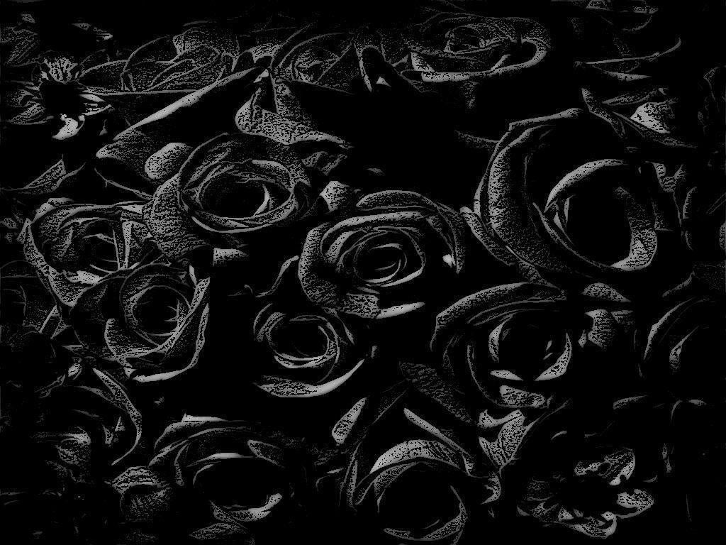 Black Rose Wallpapers - Wallpaper Cave