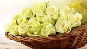 Read more about the article Beautiful Yellow Rose Bouquet Yellow roses wallpapers