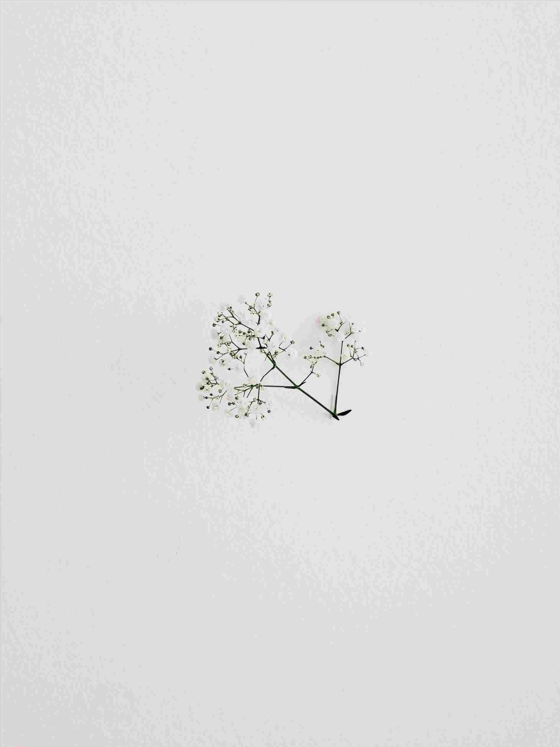 You are currently viewing Beige Phone Wallpaper Aesthetic minimalist drawings wallpapers
