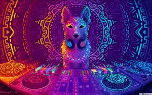 Read more about the article rainbow cat aesthetic Galaxy fox wallpapers