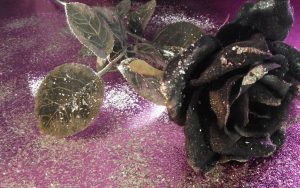 Read more about the article all black flower garden Rose wallpapers roses background kb desktop pocketfullofgrace
