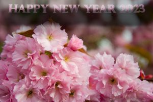 Read more about the article free wallpapers for laptop 2023 Happy new year 2023 wallpapers
