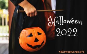 Read more about the article halloween day in 2022 Pre order 2022 halloween project bag and accessories add-on