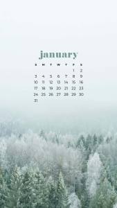 Read more about the article january computer wallpaper 2023 January wallpapers 70 background pictures january 2019 hd calendar