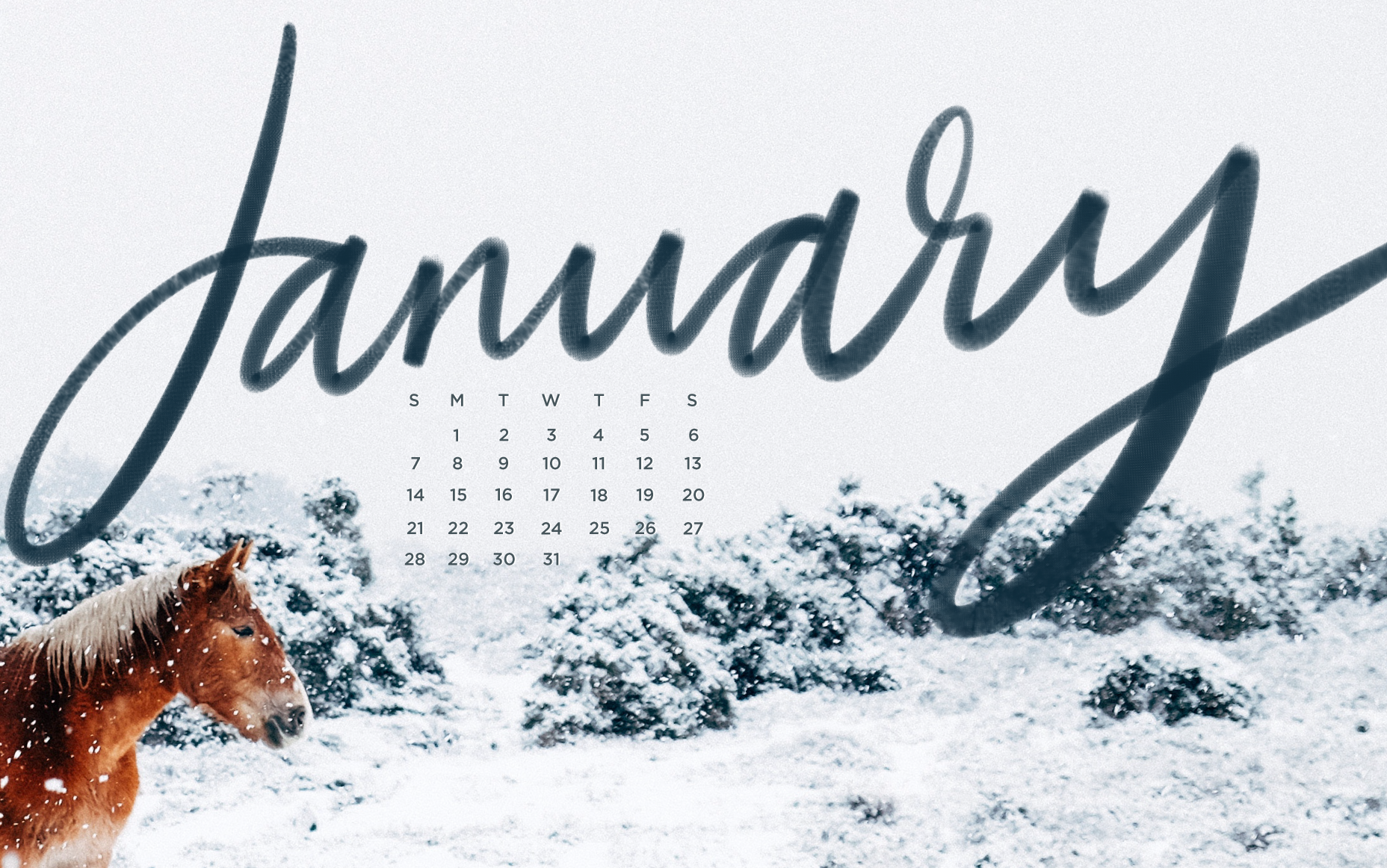 Free download Free Downloadable Tech Backgrounds for January The